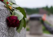 Zaběhněte položit květinu na vojenský památník a pomozte i novodobým veteránům