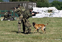 Králíky ve vojenském obležení Armády České republiky