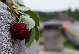 Zaběhněte položit květinu na vojenský památník a pomozte i novodobým veteránům