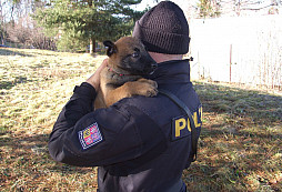 Služební psi Policie České republiky