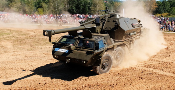 dana armyweb