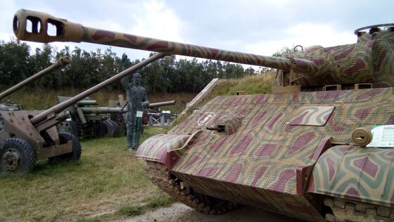 R panther