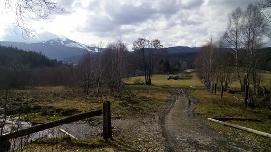 Velky-Javor