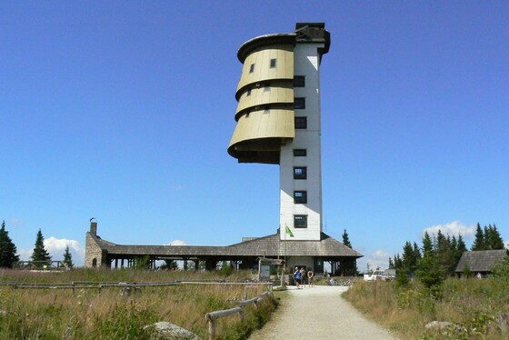 poledník
