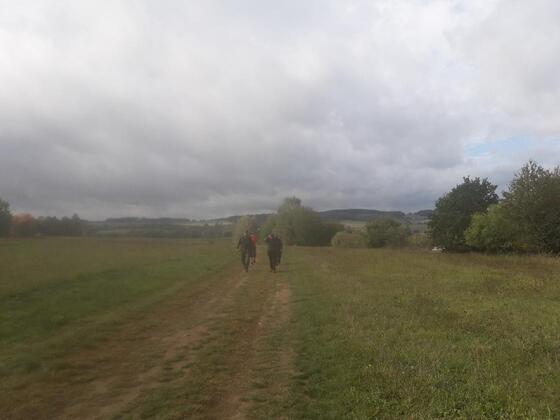 Pochod - louka